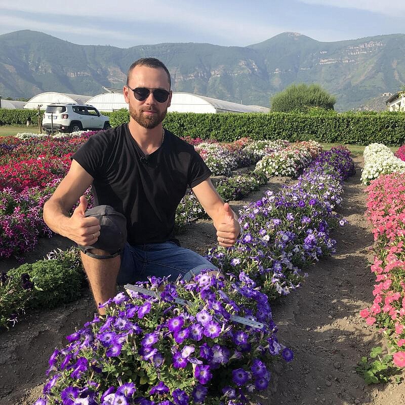 Партнер Петуния серия "Итальянка" КОЛОМБИНА F1 /многоцветковая каскадная голубая ^(5шт в амп), изображение 2