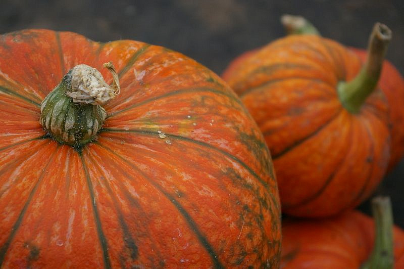 Партнер Тыква КОНФЕТКА ^(5шт), изображение 5