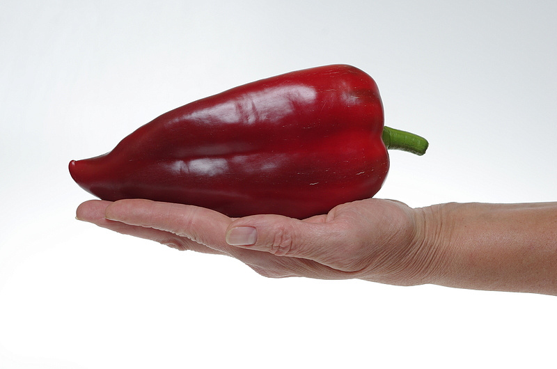 Партнер Перец ЛАКШЕРИ F1 ^(5шт) 2-ной пак, изображение 1