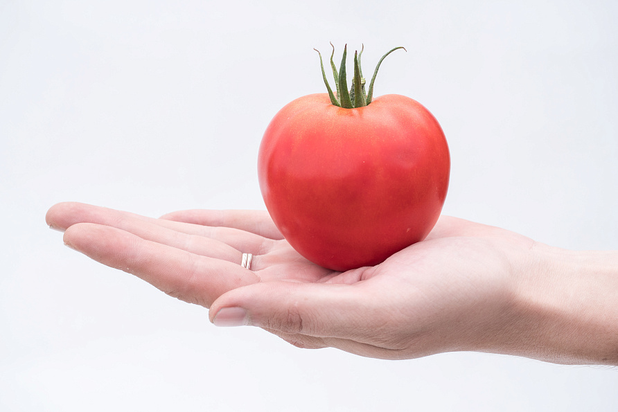 Партнер Томат ДЕМЕТРА F1 ^(10шт) 2-ной пак, изображение 1