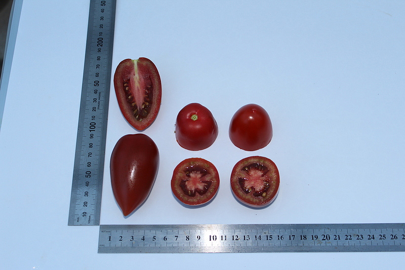 Партнер Томат БУРЫЙ САЛАДЕТ F1 ^(5шт) 2-ной пак, изображение 4