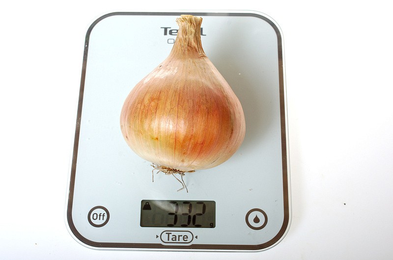 Партнер Лук репчатый ШЕТАНА МС ^(1г), изображение 4