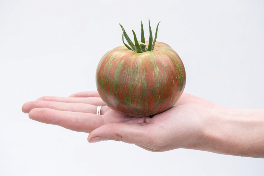 Партнер Томат ПОЛОСАТЫЙ ШОКОЛАД ^(10шт) 2-ной пак, изображение 1