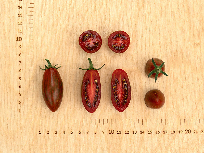 Партнер Томат МИСТИКА F1 ^(5шт) 2-ной пак, изображение 4