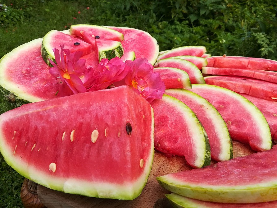 Партнер Арбуз БАЙСАН F1 ^(5шт) 2-ной пак, изображение 4