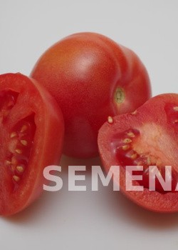 Партнер Томат ИМПЕРАТОРСКАЯ СЛАБОСТЬ F1 ^(0,05г) 2-ной пак фото 4