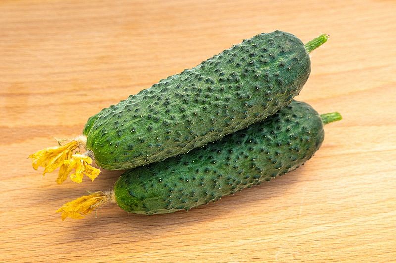 Партнер Огурец БЬЕРН F1 ^(5шт), изображение 5