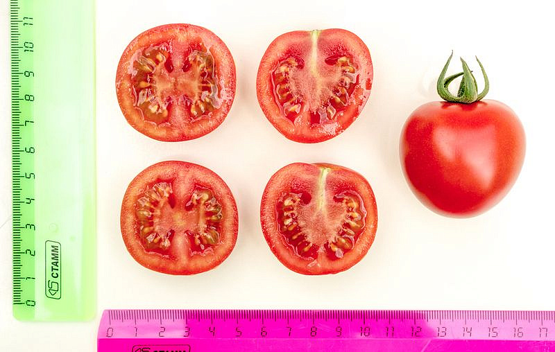 Партнер Томат ЧЕРРИ КОКТА F1 ^(5шт) 2-ной пак, изображение 3