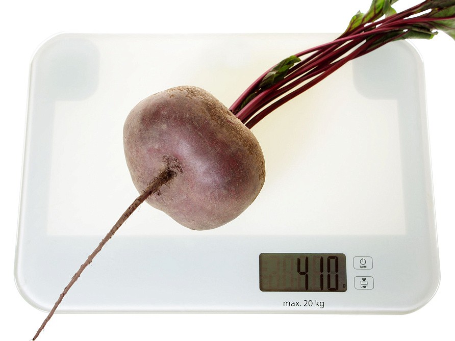 Партнер Свекла ЕГИПЕТСКАЯ ПЛОСКАЯ ^(3г), изображение 2