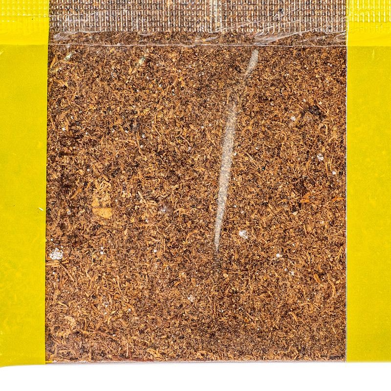 Почвобрикет Дружные всходы, 4л, БиоМастер, изображение 4