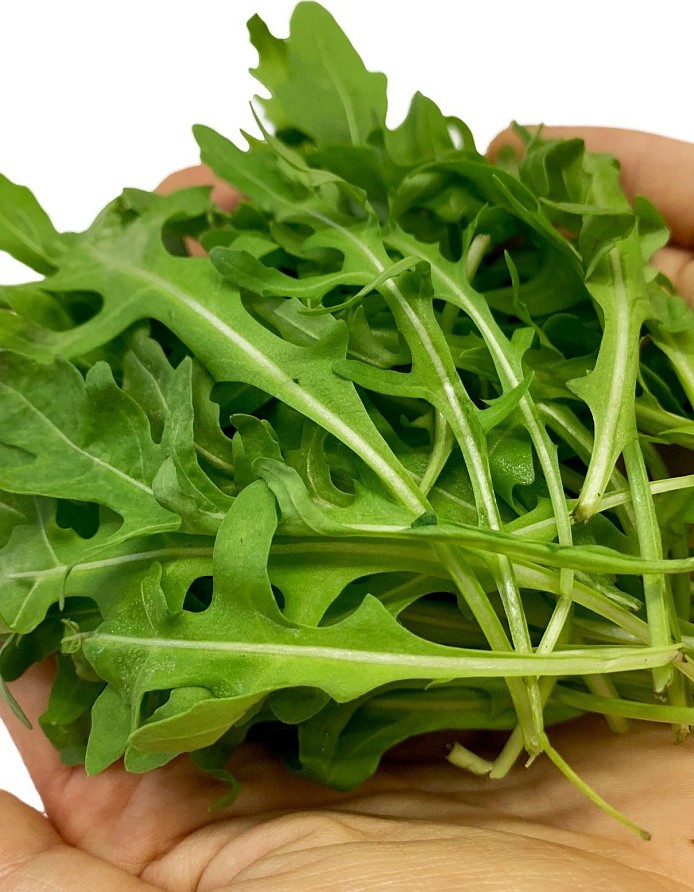 Партнер Рукола ТРИЦИЯ ^(0,5г), изображение 2