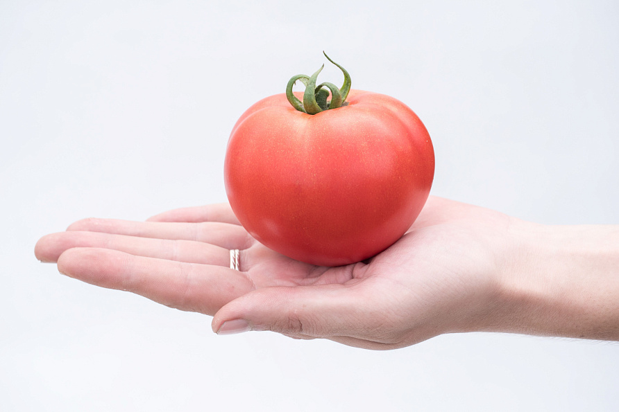 Партнер Томат КАСТЕЛЬЯНО F1 ^(5шт) 2-ной пак, изображение 7