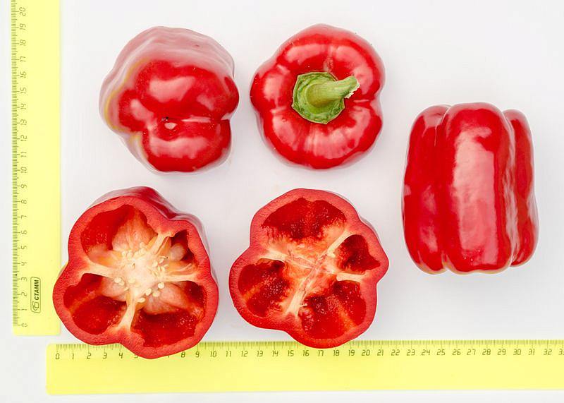 Партнер Перец ПАРТНЕР F1 ^(5шт) 2-ной пак, изображение 2