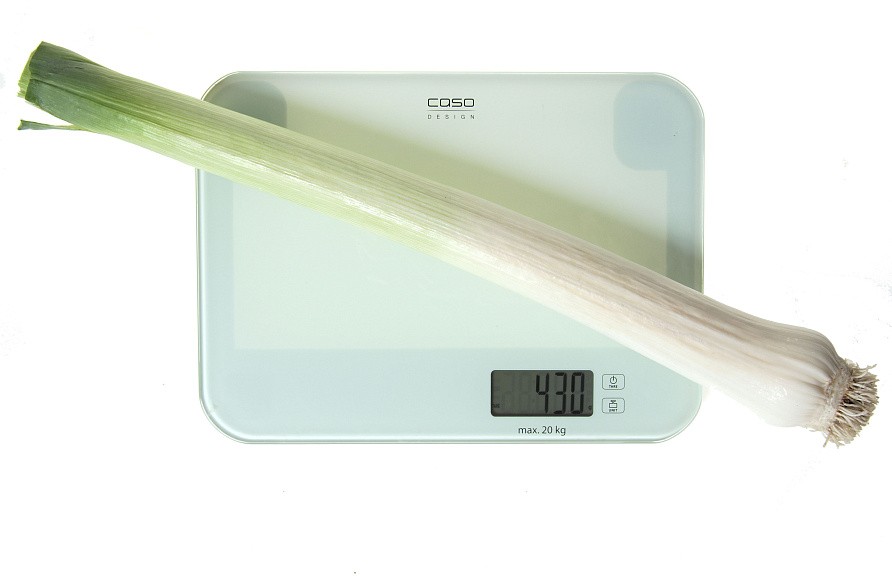 Партнер Лук порей ВЕСТА ^(1г), изображение 1