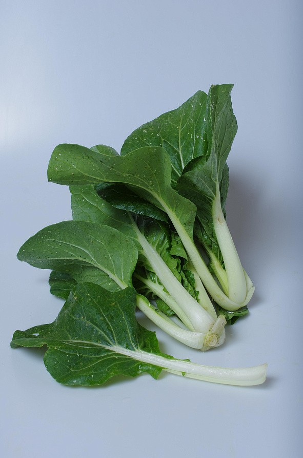 Партнер Капуста китайская ПАК-ЧОЙ ^(0,5г), изображение 1