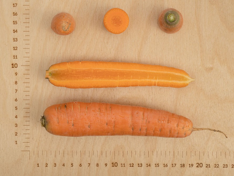 Партнер Морковь СТРАНА ЧУДЕС F1 ^(0,5г), изображение 2