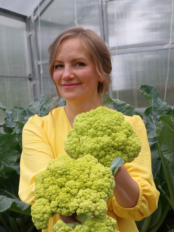 Партнер Капуста цветная ГРИН ШТОРМ F1 ^(10шт в амп), изображение 1