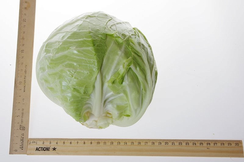 Партнер Капуста б/к ТРАНСФЕР F1 ^(0,2г в амп), изображение 4