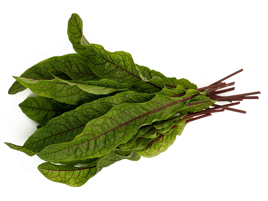 Партнер Щавель КРОВАВАЯ МЭРИ ^(0,2г), изображение 1