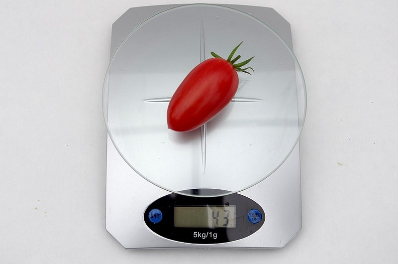 Партнер Томат ДЖЕК ПОТ F1 ^(5шт) 2-ной пак, изображение 3