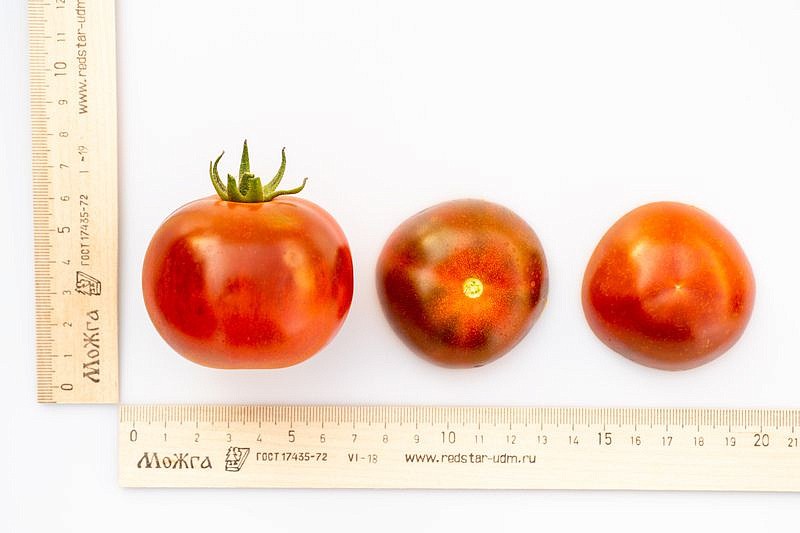 Партнер Томат КАРЕН F1 ^(5шт) 2-ной пак, изображение 4