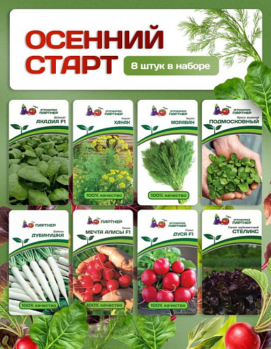 Партнер Набор ОСЕННИЙ СТАРТ^ (1шт)