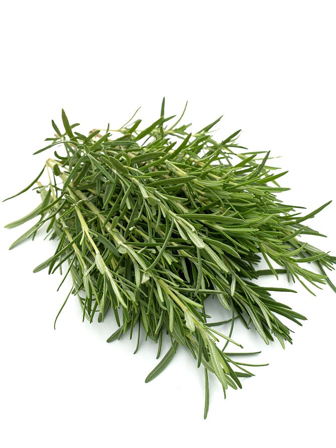 Партнер Розмарин НЕЖНОСТЬ ^(0,05г), изображение 1