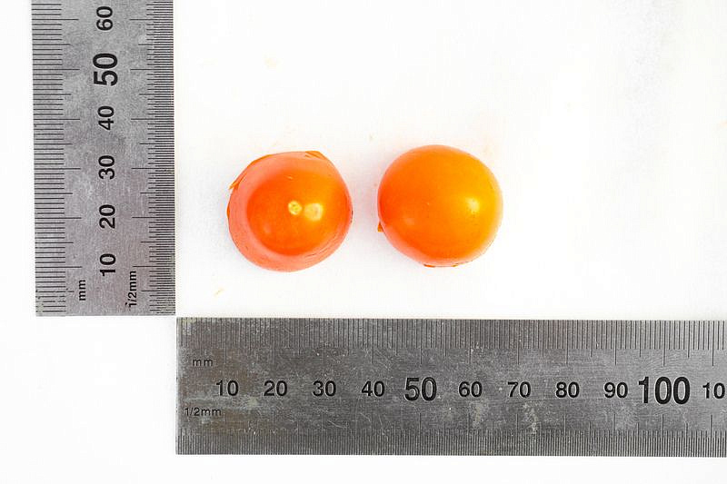 Партнер Томат Черри ЛЯ МУР F1 ^(5шт) 2-ной пак, изображение 8