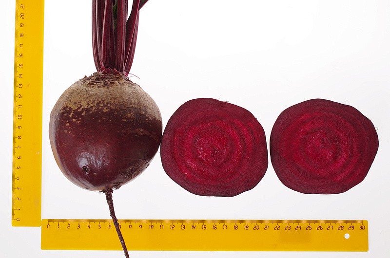 Партнер Свекла ДВУСЕМЯННАЯ ТСХА ^(3г), изображение 2