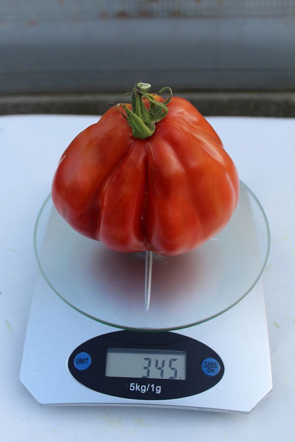 Партнер Томат КАХУРИ ^(0,05г) 2-ной пак, изображение 2