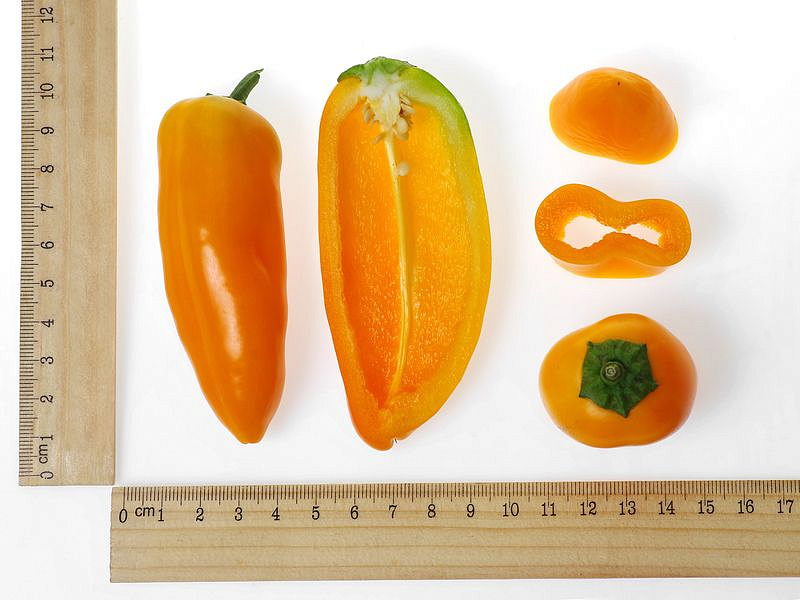 Партнер Перец КЕША F1 ^(5шт) 2-ной пак, изображение 6