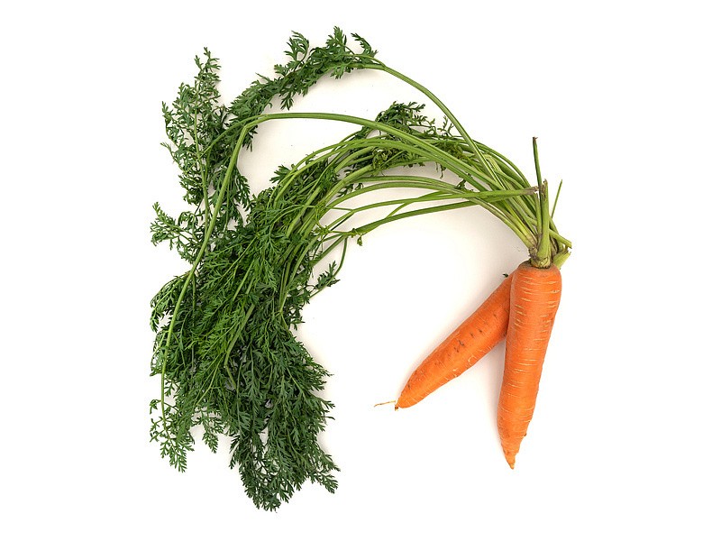 Партнер Морковь ОЛИМПО F1 ^(0,5г), изображение 1