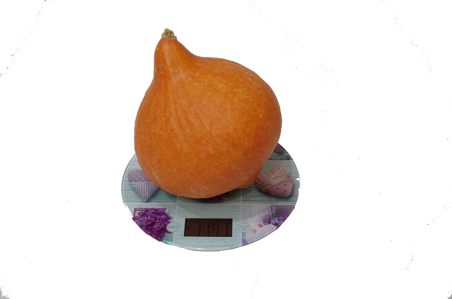 Партнер Тыква ОРАНЖ САММЕР F1 ^(3шт), изображение 2