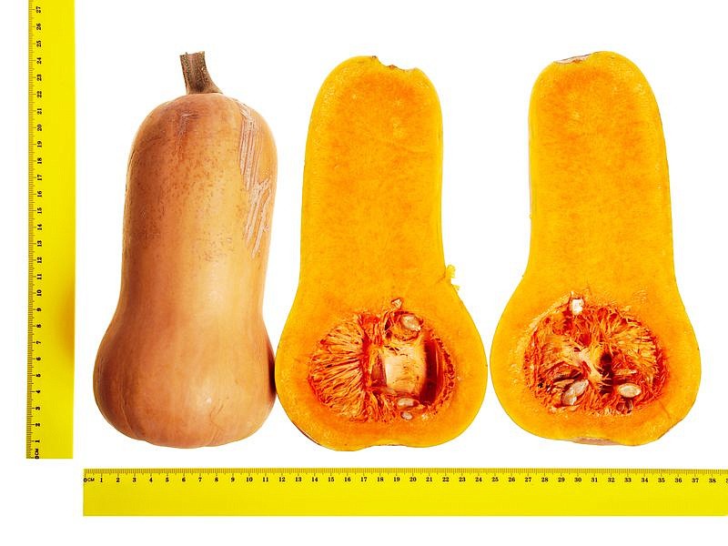 Партнер Тыква СТРАДИВАРИ ^(10шт), изображение 4