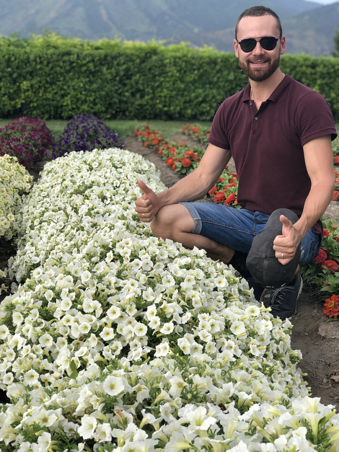 Партнер Петуния серия "Лагуна" АНТУАНЕТТА F1 / многоцветковая каскадно-ампельная^(5шт в амп), изображение 3