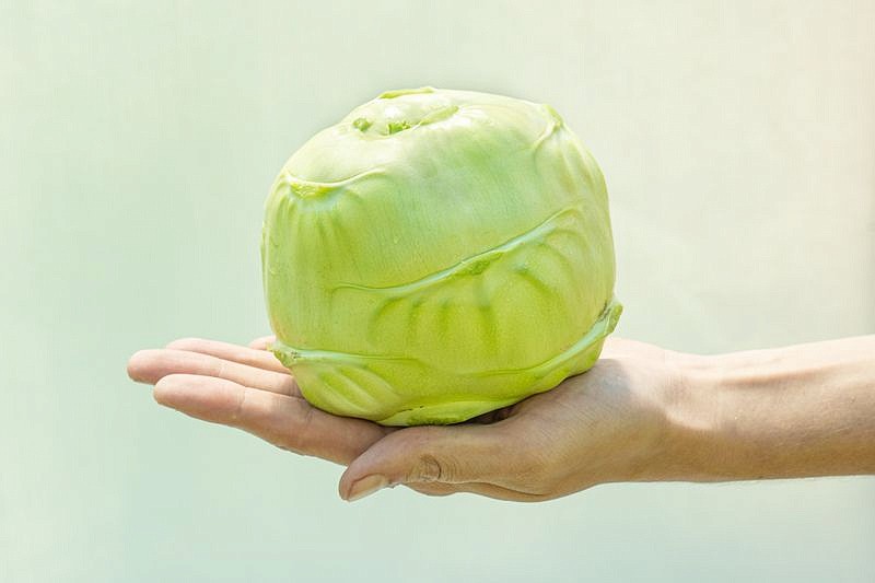 Партнер Капуста кольраби КОРИСТ F1 ^(10шт), изображение 3