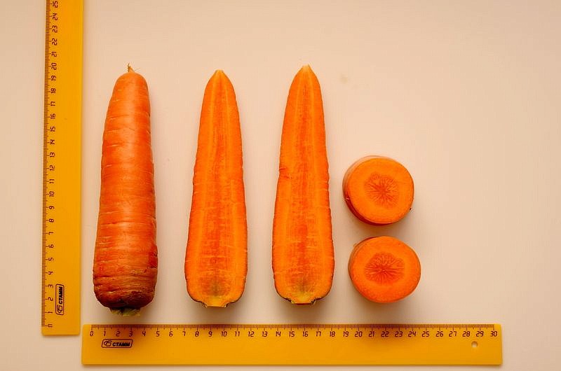 Партнер Морковь КАНАДА F1 ^(0,5г), изображение 5