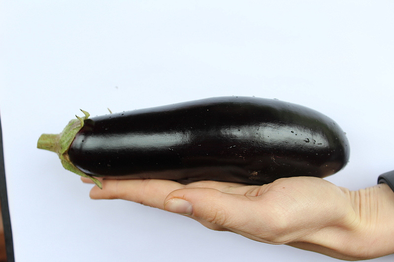 Партнер Баклажан АЛМАЗ ^(0,5г), изображение 4