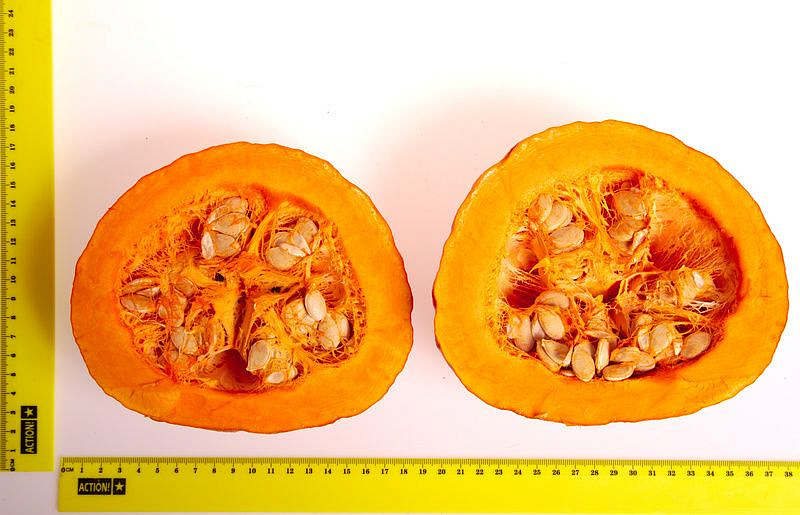 Партнер Тыква УЧИКИ КУРИ ^(10шт), изображение 3