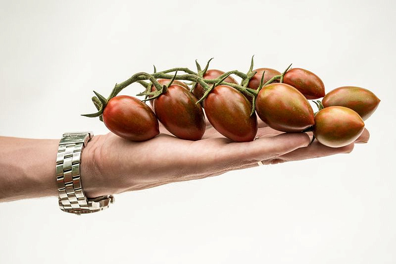 Партнер Томат ЧЕРРИ МИДНАЙТ F1 ^(5шт) 2-ной пак, изображение 1