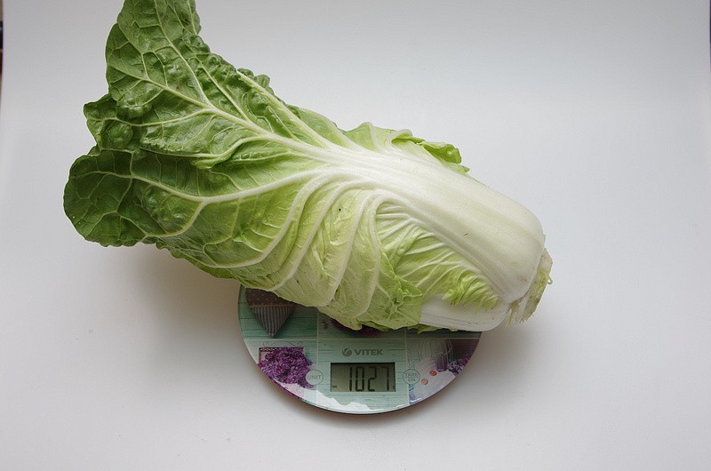 Партнер Капуста Пекинская НЕЖНОСТЬ F1 ^(0,5г), изображение 3