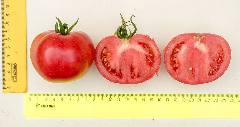 Партнер Томат ФАМИЛИЯ F1 ^(10шт) 2-ной пак, изображение 1