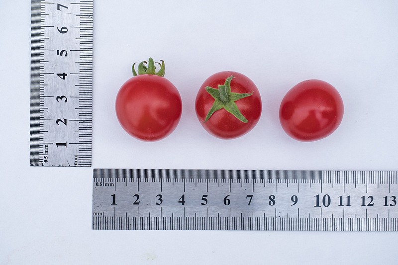 Партнер Томат ЧЕРРИ КАМЕННЫЙ ЦВЕТОК F1 ^(5шт) 2-ной пак, изображение 5