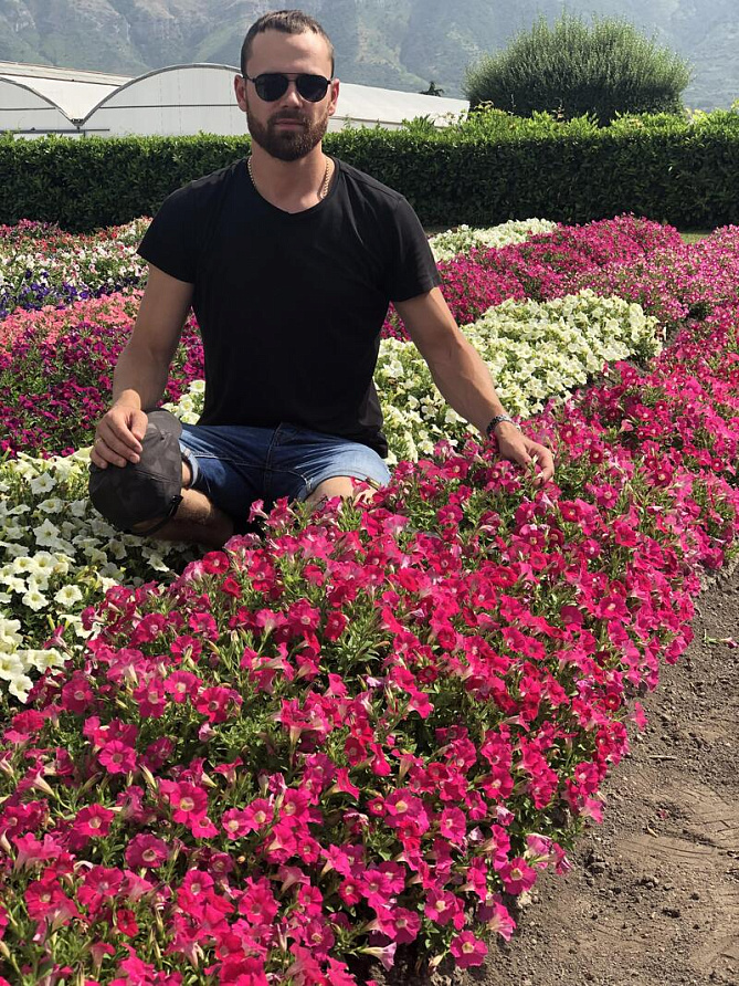 Партнер Петуния серия "Амбре" РОЗЕТТА F1 / многоцветковая каскадная^(5шт в амп), изображение 3