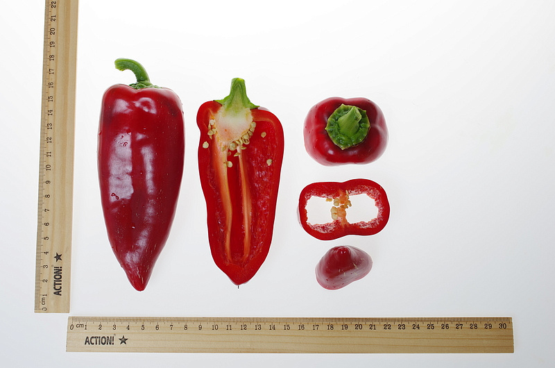 Партнер Перец ЛАКШЕРИ F1 ^(5шт) 2-ной пак, изображение 3