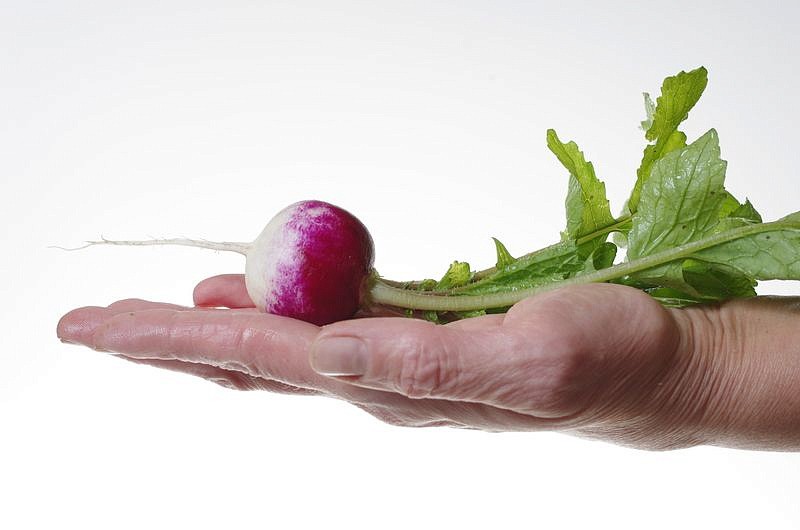 Партнер Редис МАРГО ^(3г), изображение 3