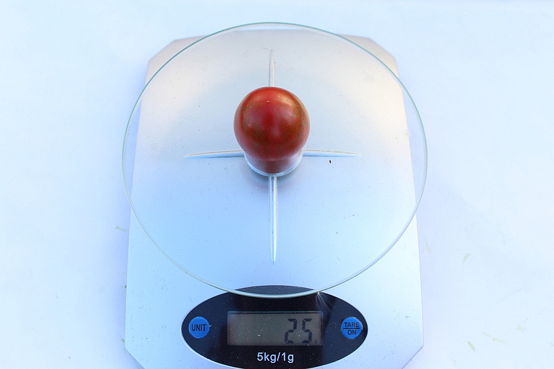 Партнер Томат ТИГРОВЫЙ КОКТЕЙЛЬ F1 ^(5шт) 2-ной пак, изображение 1