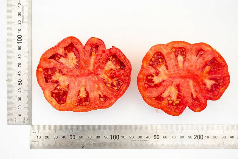 Партнер Томат КАХУРИ ^(0,05г) 2-ной пак, изображение 3