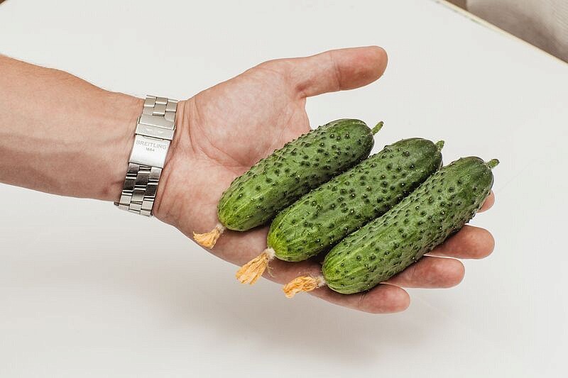 Партнер Огурец ШОША F1 ^(5шт), изображение 1