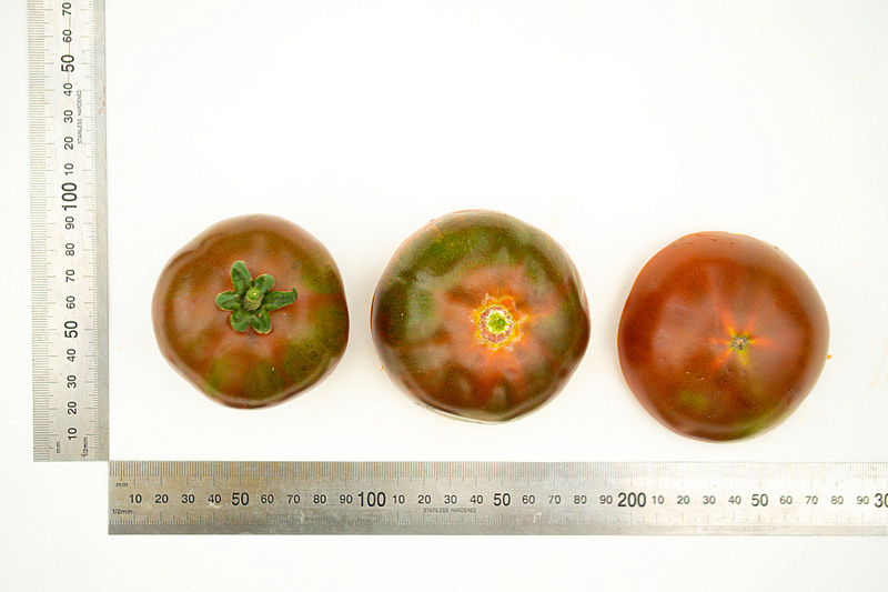 Партнер Томат НИАГУС ^(10шт) 2-ной пак, изображение 5